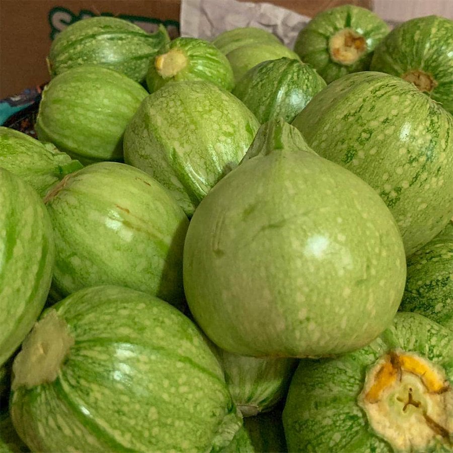 Topak Beyaz (Bomba) Kabak Tohumu-3 Gram (Orjinal Paket)