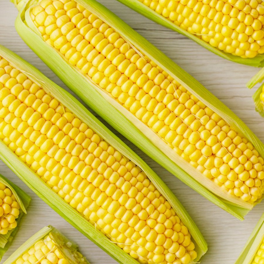 Kebaplık Mısır Tohumu-25 Gram (Orjinal  Paket)