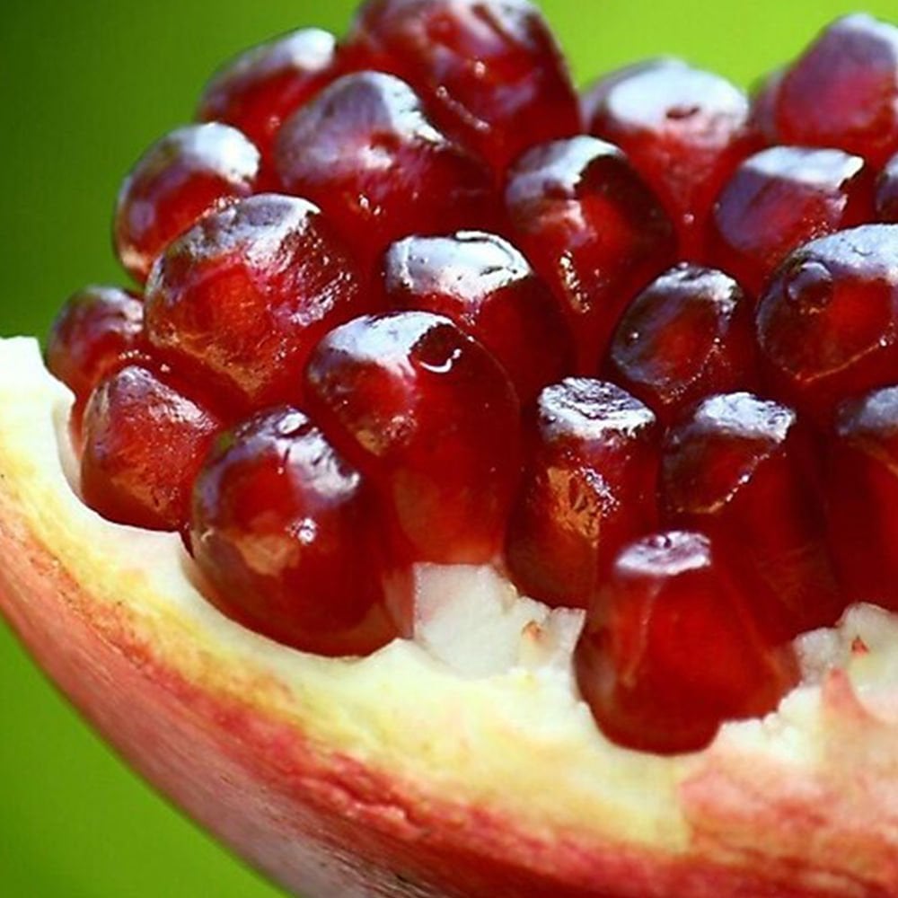 Tüplü Nadir Çeşit Wonderful Nar Fidesi (sınırlı Sayıda)-5Adet-