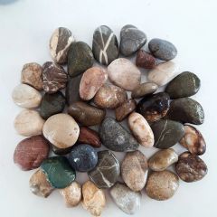 Yapay Çiçek Antrasit Saksıda 100 cm Bambu 20 Adet (Tüm Set Dahil) Seperatör