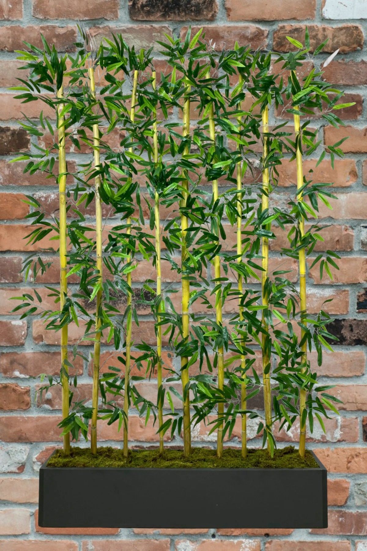 Yapay Çiçek Antrasit Saksıda 160 cm Bambu 15 Adet (Tüm Set Dahil) Seperatör