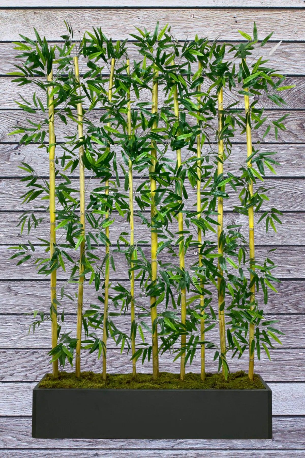 Yapay Çiçek Antrasit Saksıda 180 cm Bambu 10 Adet (Tüm Set Dahil) Seperatör