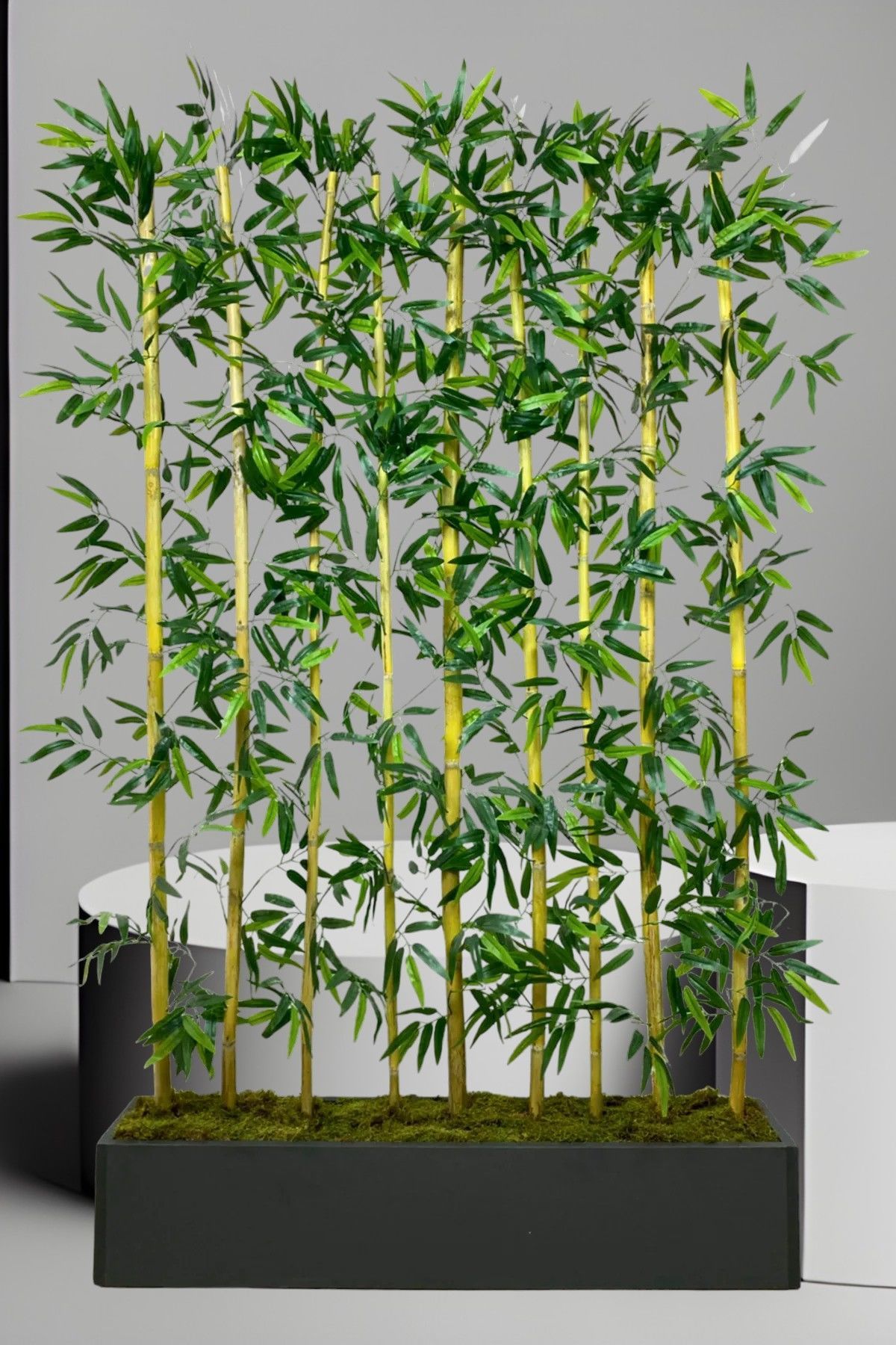 Yapay Çiçek Antrasit Saksıda 200 cm Bambu 15 Adet (Tüm Set Dahil) Seperatör