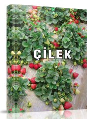 Çilek Yetiştiriciliği Hakkında Bilgiler Kitabı