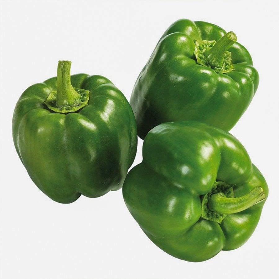 Doru 16 Dolma Biber Tohumu-5 Gram (Orjinal Paket)