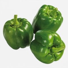 Doru 16 Dolma Biber Tohumu-5 Gram (Orjinal Paket)
