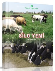 Silo Yemi Yapımı Kitabı