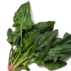 Verimli Matador Ispanak Tohumu-10 Gram (Orjinal Paket)