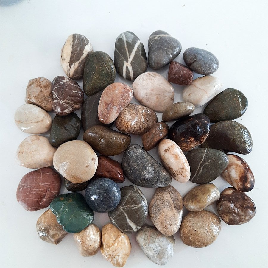 Doğal Deniz Taşları Orta Boy- 1 Kg