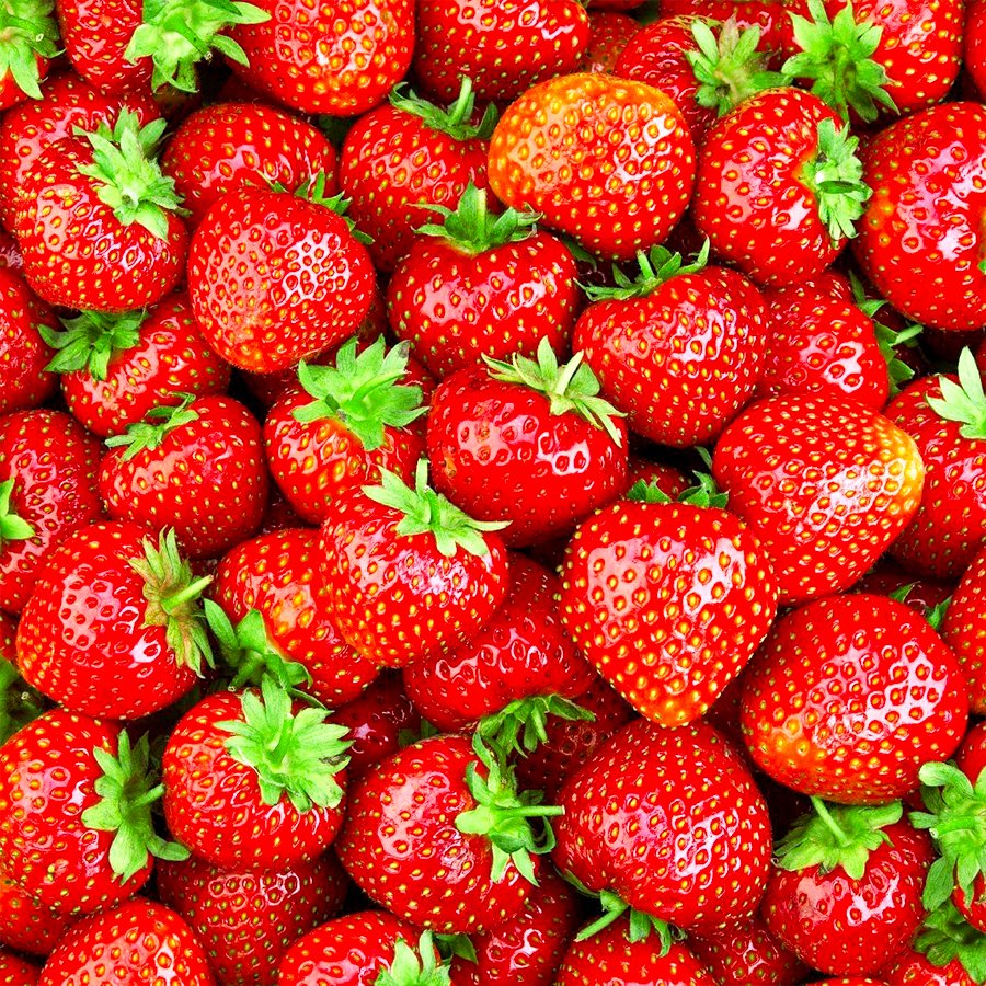 Yediveren Çok Yıllık Çilek Tohumu-100 Adet