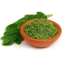 Tüplü Şifalı Moringa Ağacı Fidanı (30-40 cm)
