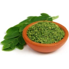 Tüplü Şifalı Moringa Ağacı Fidanı (50 cm ve üzeri)