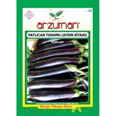 Erkenci Aydın Siyahı Patlıcan Tohumu-10 Gram