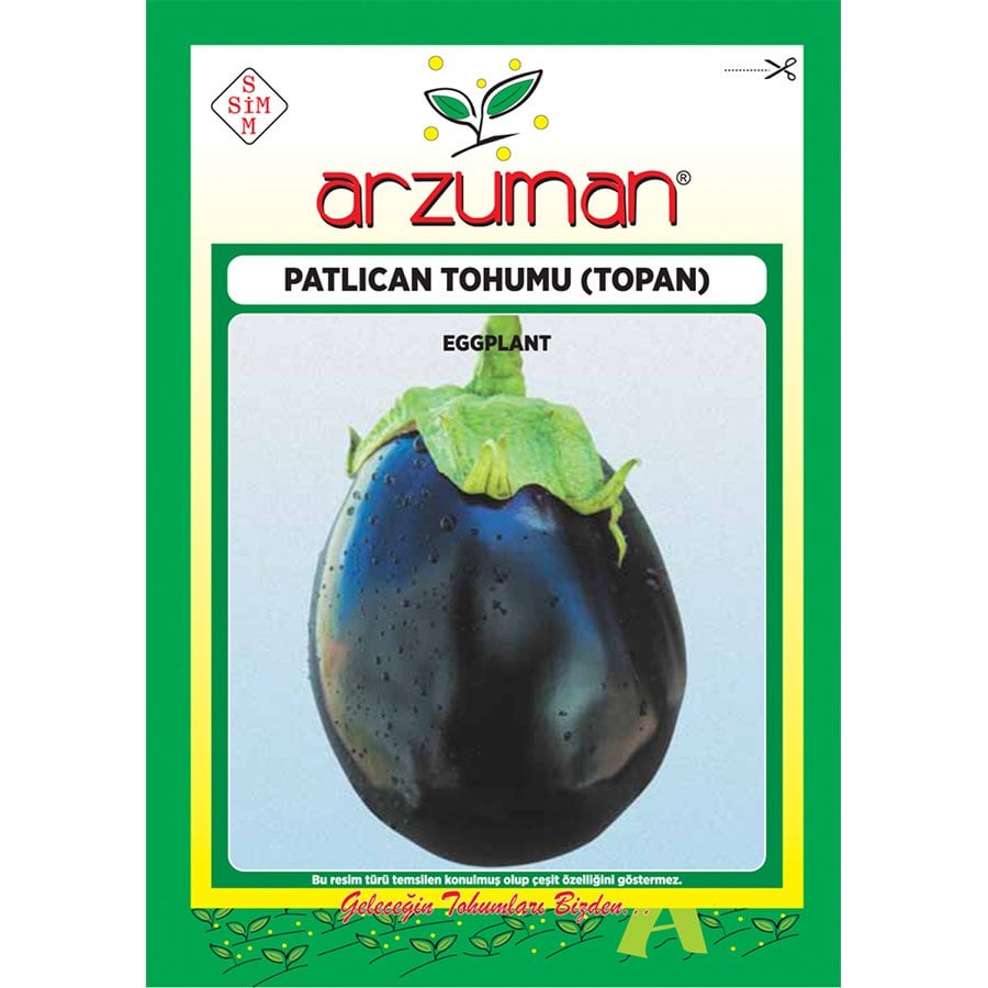 Verimli Topan Patlıcan Tohumu-10 Gram