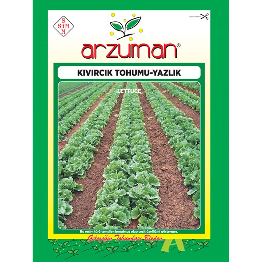 Yazlık Kıvırcık Marul Tohumu-10 Gram