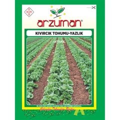 Yazlık Kıvırcık Marul Tohumu-10 Gram