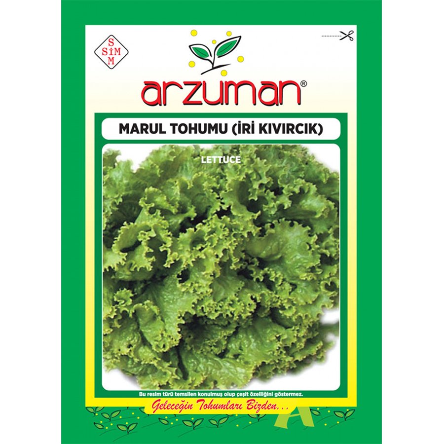 Lezzetli İri Kıvırcık Marul Tohumu-10 Gram