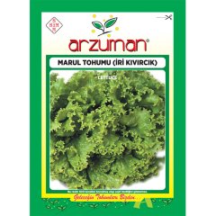 Lezzetli İri Kıvırcık Marul Tohumu-10 Gram