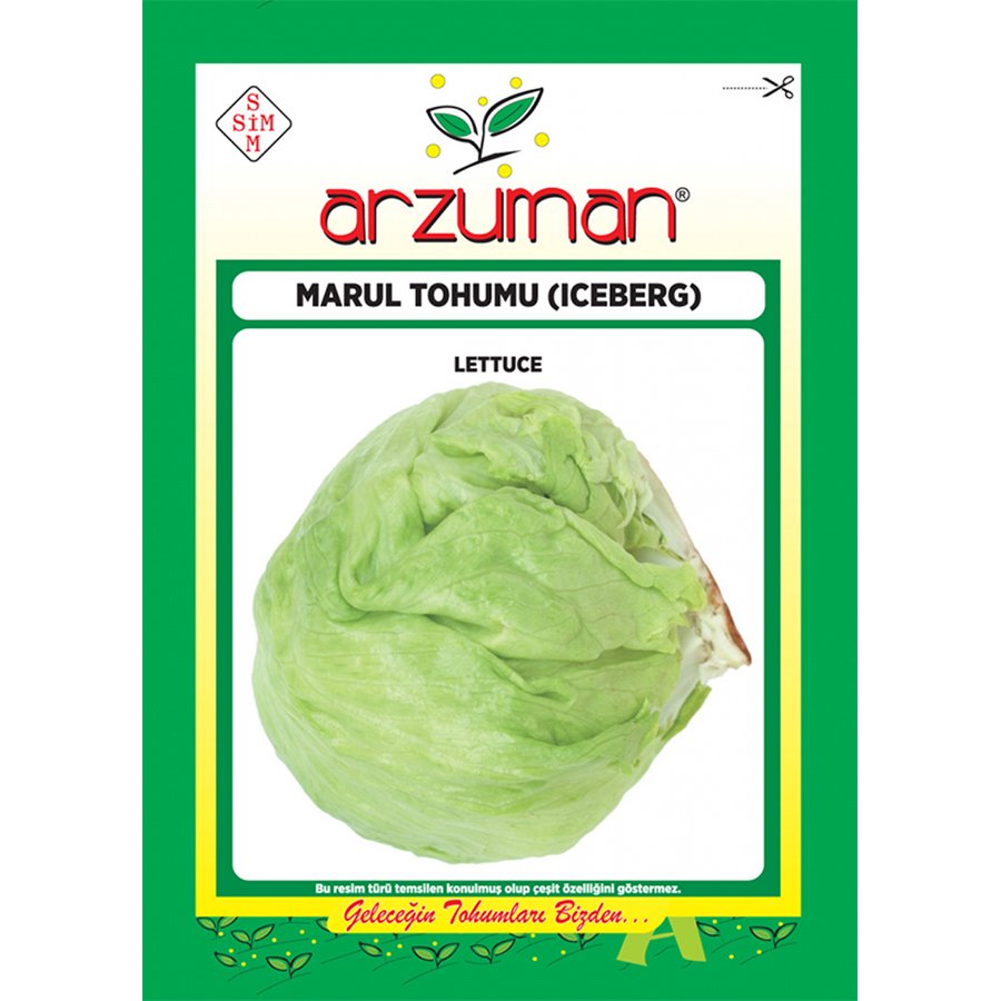 Gevrek Yemeli Iceberg Marul Tohumu-5 Gram