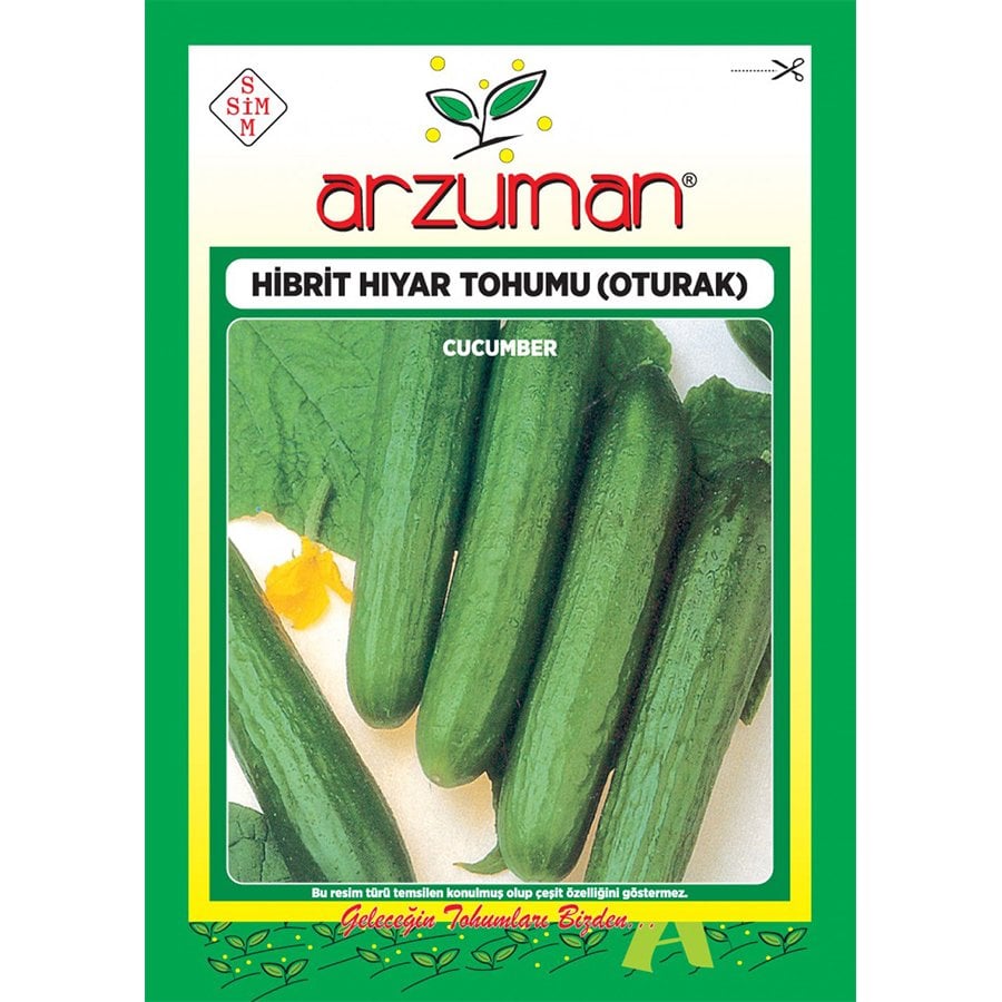 Hibrit F1 Oturak (Hıyar) Salatalık Tohumu-10 Adet