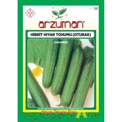 Hibrit F1 Oturak (Hıyar) Salatalık Tohumu-10 Adet