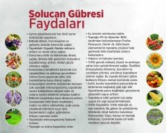 Organik Doğal (Katı) Solucan Gübresi-1000 Gram
