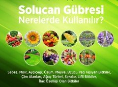 Organik Doğal (Katı) Solucan Gübresi-1000 Gram