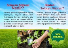 Organik Doğal (Katı) Solucan Gübresi-1000 Gram