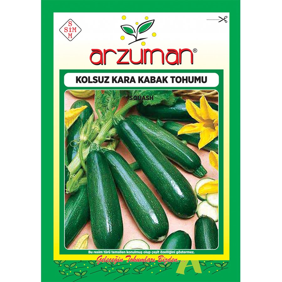 Erkenci Kolsuz Kabak Tohumu-10 Gram