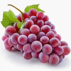 Tüplü Çekirdeksiz Pembe Crimson Seedless Üzüm Fidanı