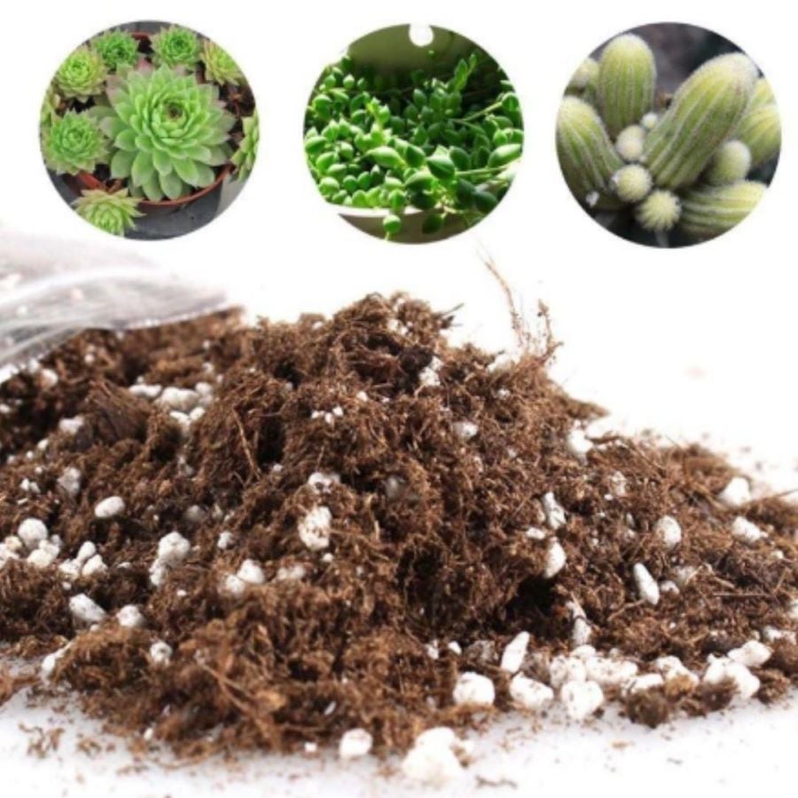 Kaktüs ve Sukulent Üretim Toprağı-2 Litre