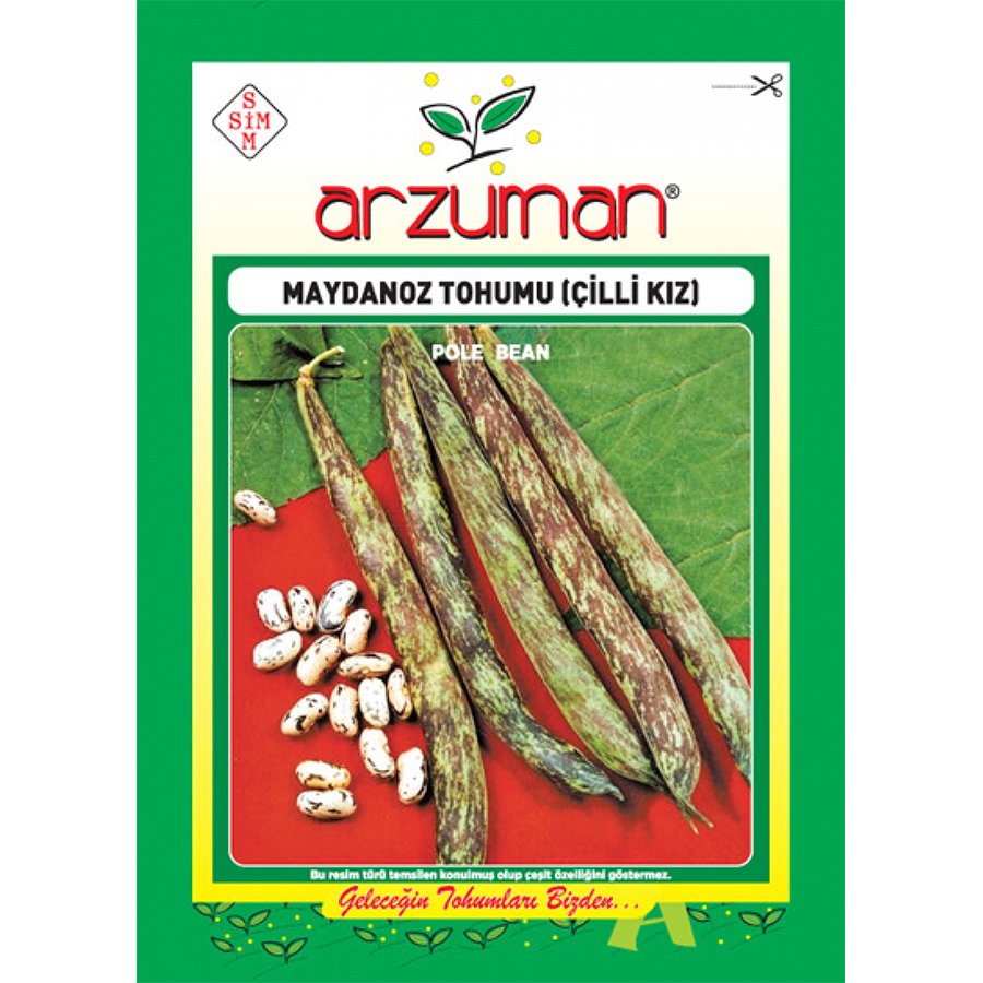 Bol Dökümlü Çilli (Kız) Ayşe Fasulye Tohumu-50 Gram