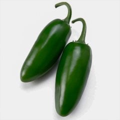 Zehir Gibi Acı Jalepon Biber Tohumu-5 Gram (Orjinal Paket)