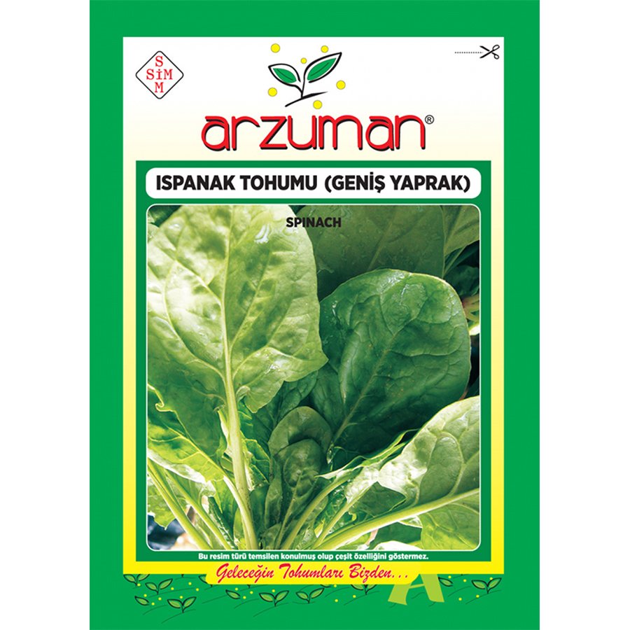 Geniş Yapraklı Ispanak Tohumu-25 Gram