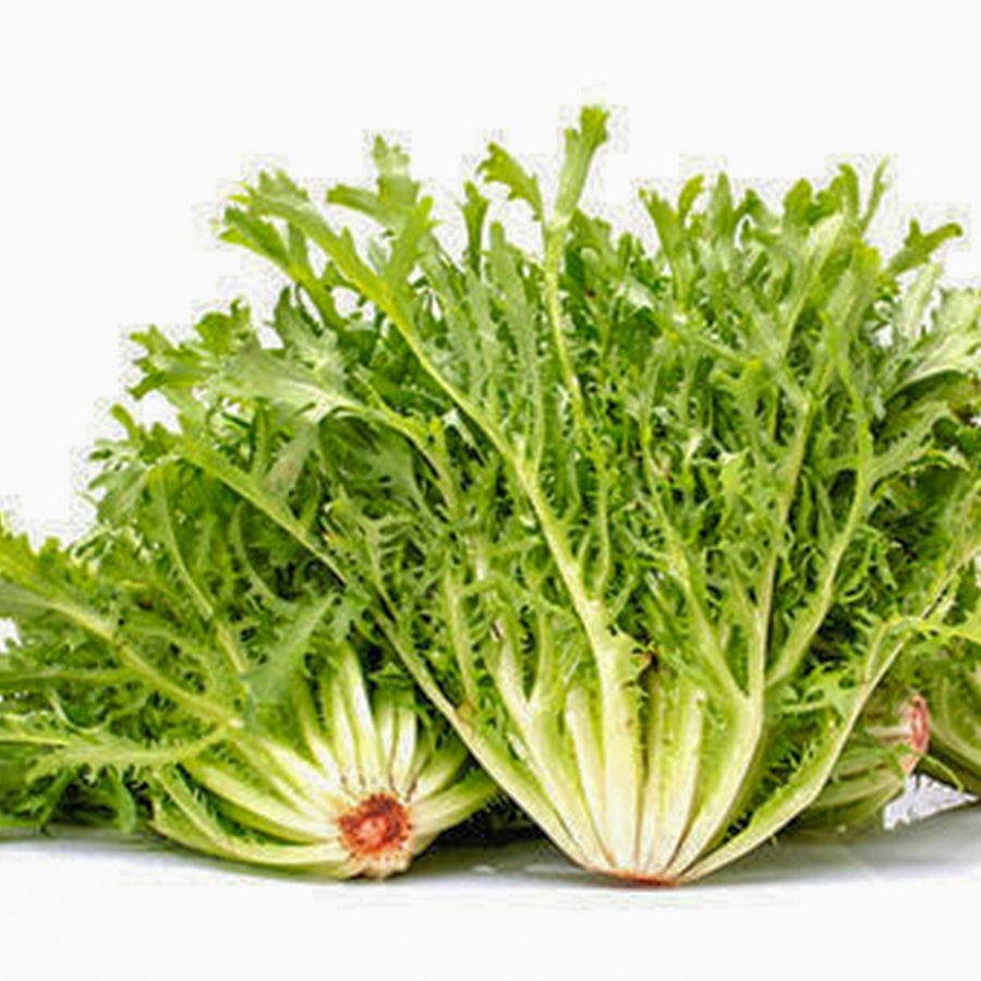 Hindiba Güneyik Tohumu-3 Gram