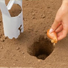 Çiçek Soğanı Ve Fide Dikme Aparatı (Ayarlı)