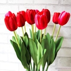 Kırmızı Arie Hoek Lale Soğanı-5 Adet