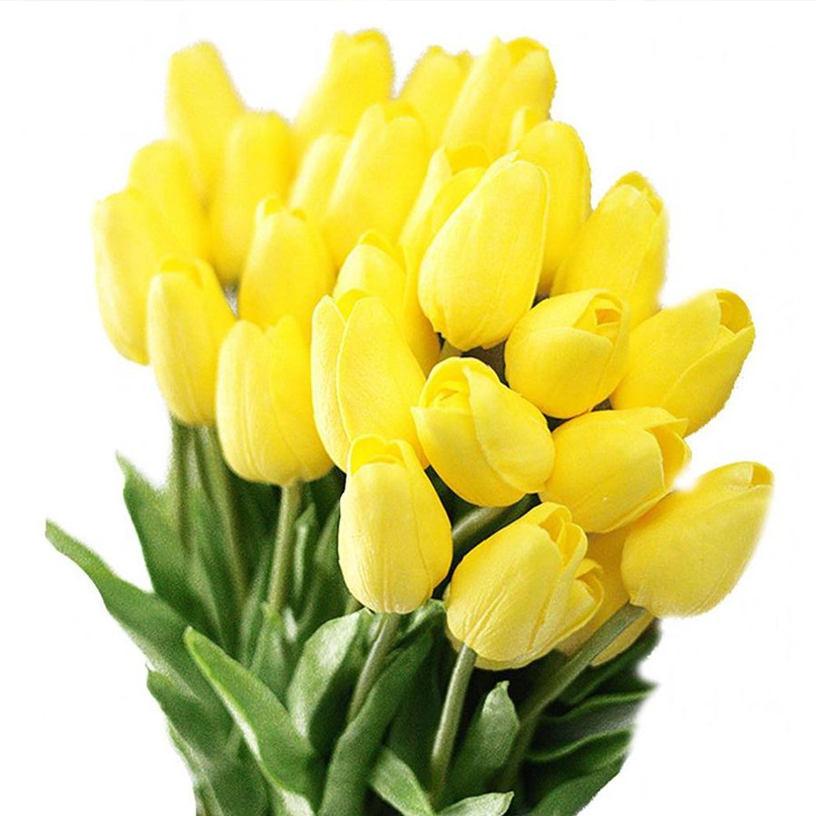 Yellow Friendship Lale Soğanı-5 Adet