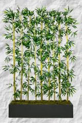 Yapay Çiçek Antrasit Saksıda 150 cm Bambu 20 Adet (Tüm Set Dahil) Seperatör