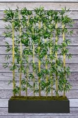 Yapay Çiçek Antrasit Saksıda 180 cm Bambu 15 Adet (Tüm Set Dahil) Seperatör