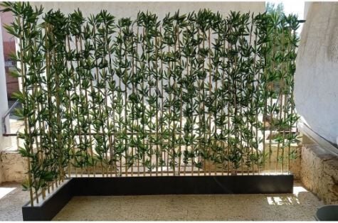 4 Adet 100 Cm Saksıda 20 Li Bambu Seperatör