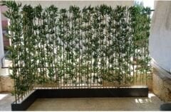 4 Adet 100 Cm Saksıda 40 Lı Bambu Seperatör