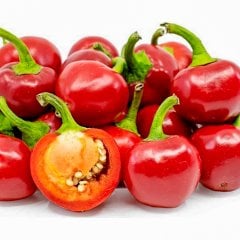 Yediveren Top Süs Biber Fidesi-5 Adet