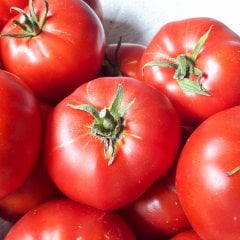 Yöresel Ankara Ayaş Domates Fidesi-5 Adet