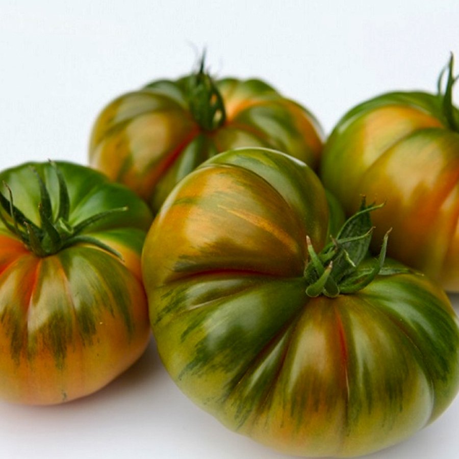 Yarı Sırık Lapçin Domates Fidesi-5 Adet
