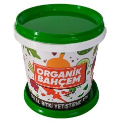 Organik Doğal Top Fesleğen Tohumu Kiti