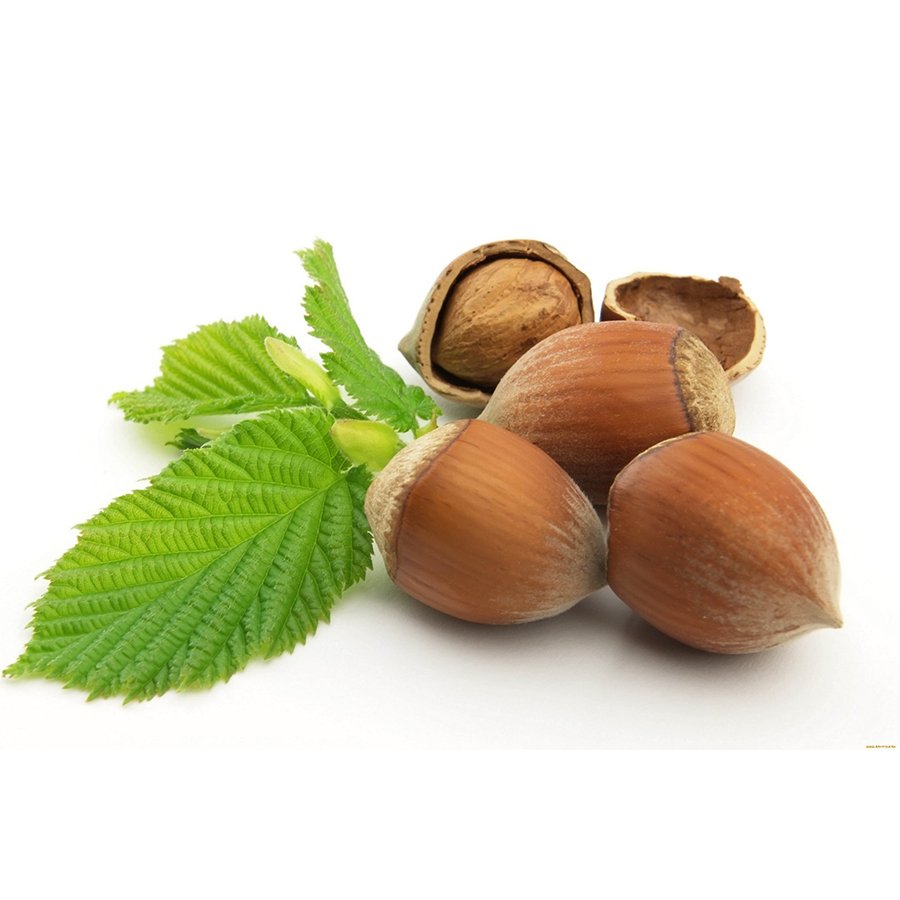 Tüplü Lezzetli Giresun Yağlısı Fındık Fidanı