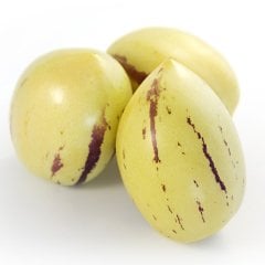 Saksıda Kavun Aromalı Pepino Fidanı