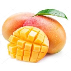 Saksıda Yetişebilen Mango Fidanı