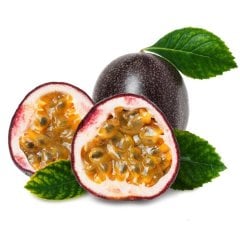 Saksıda Passiflora Foetida (Çarkıfelek) Fidanı